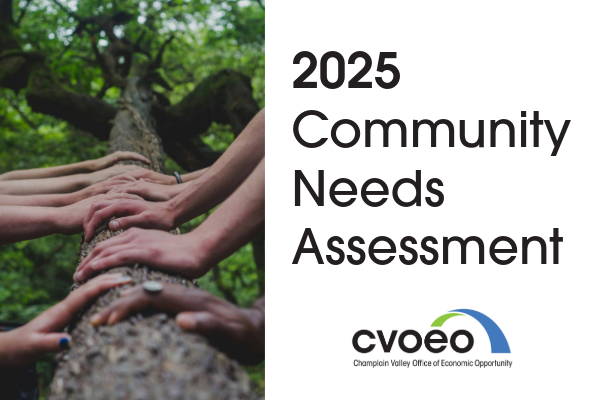 Hands on a log beside the text "2025 Community Needs Assessment"